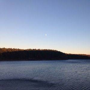 Meet your Posher, Isabella